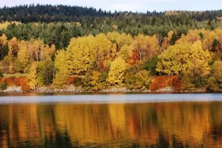 拉塞克酒店 Černá v Pošumaví