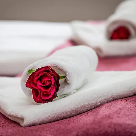 酒店 拉塞克酒店 Černá v Pošumaví