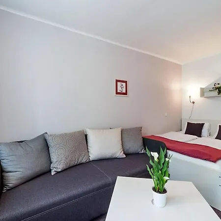 Racek Otel Černá v Pošumaví